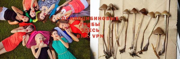 гидропоника Балабаново