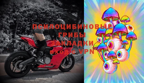 бошки Балахна
