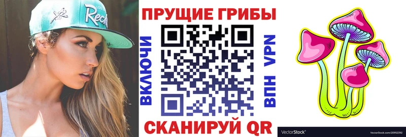 Галлюциногенные грибы мицелий  Горно-Алтайск 